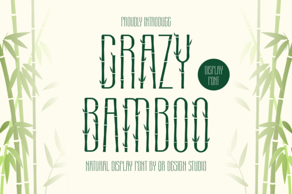 Crazy Bamboo Font for Web Design