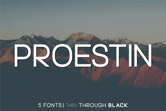Proestin: A Modern Sans Serif Review