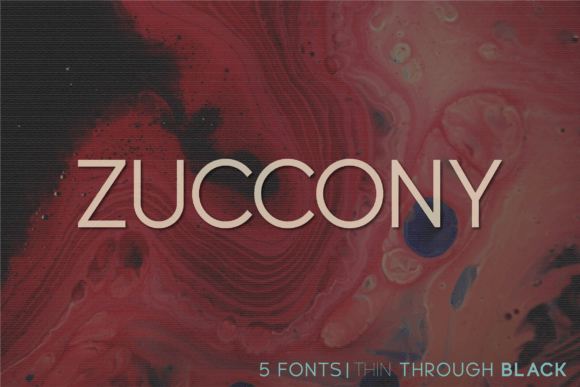 Zuccony: A Modern Font for Web Design